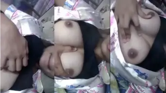 Pap Susu Gede Masih Daun Masih Muda